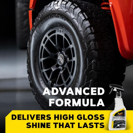 MEGUIAR'S G250816 Insane Shine Tire Spray