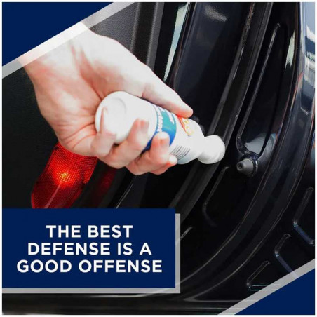 303 RUBBER SEAL PROTECTANT 100ML - Protection Joints Caoutchouc Automobile avec Applicateur