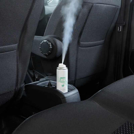 Autoglym Spearmint Fogger 150ml - Destructeur d'Odeurs Mentholé Ultra-Concentré